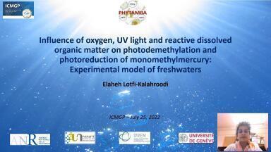 Role of Volatile Organic Compounds Derived from Organic Matter on the Photodemethylation of Monomethylmercury